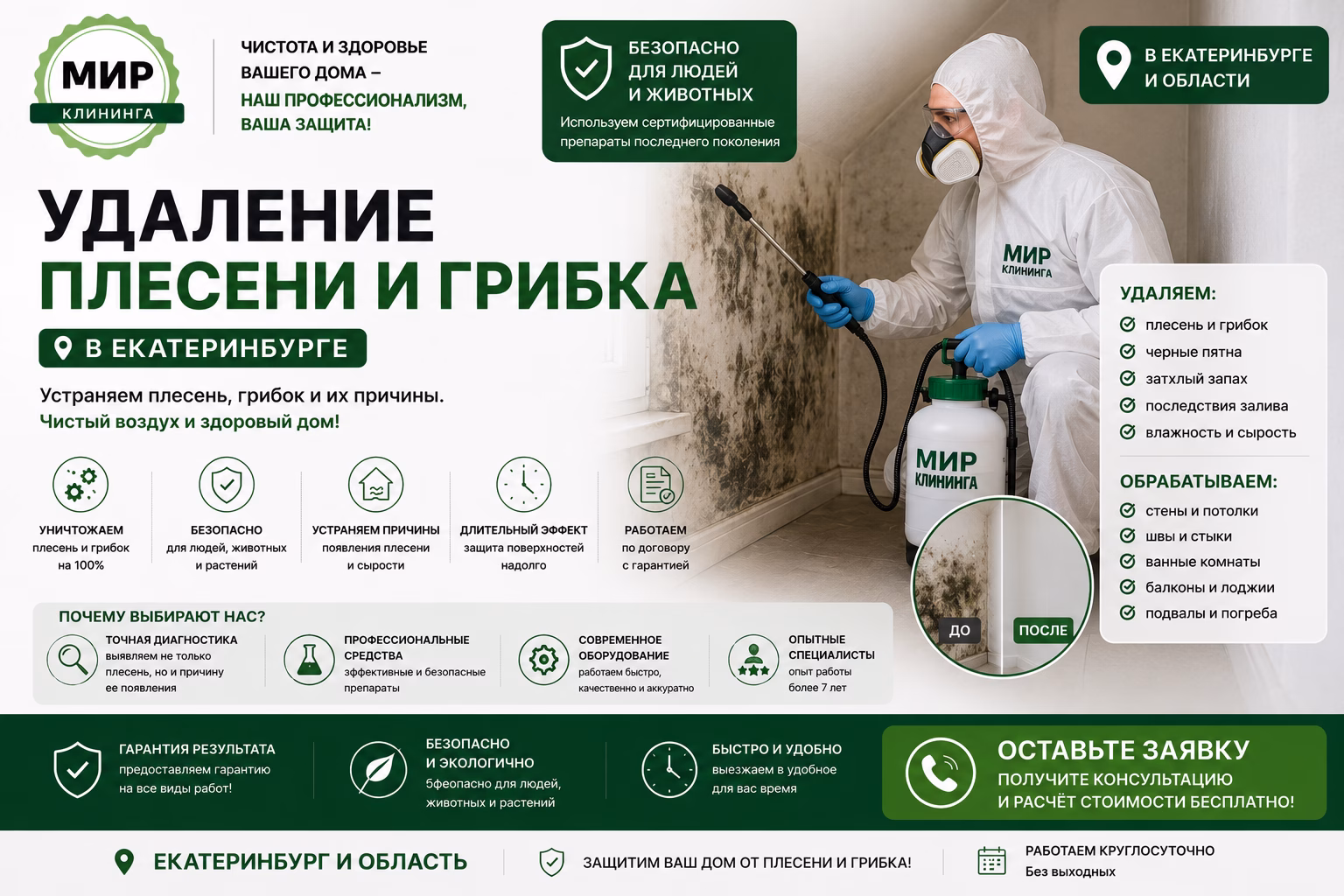 Удаление плесени и грибка в Екатеринбурге