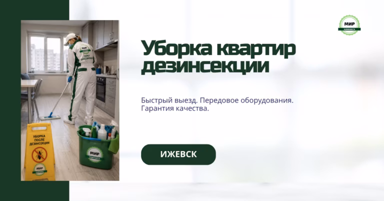 уборка квартир после дезинсекции