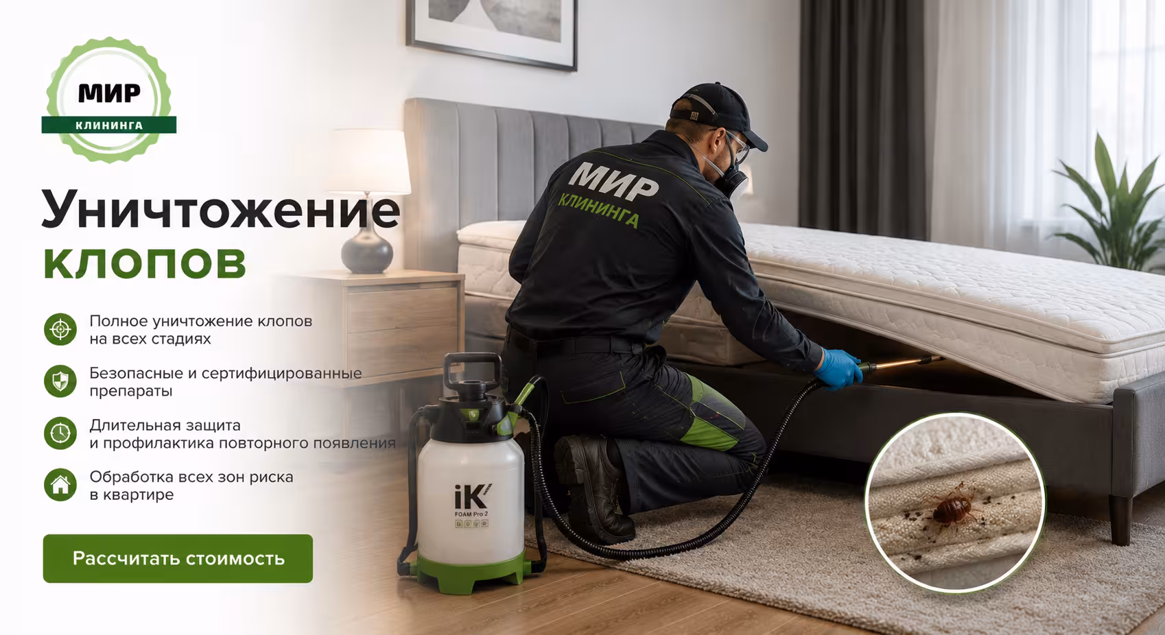 Уничтожение клопов в квартире в Омске — Мир клининга