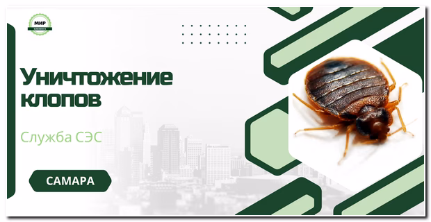 обработка квартиры от клопов в Самаре