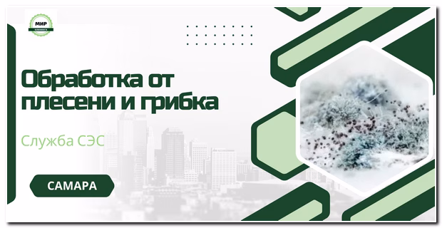 обработка от плесени и грибка в самаре