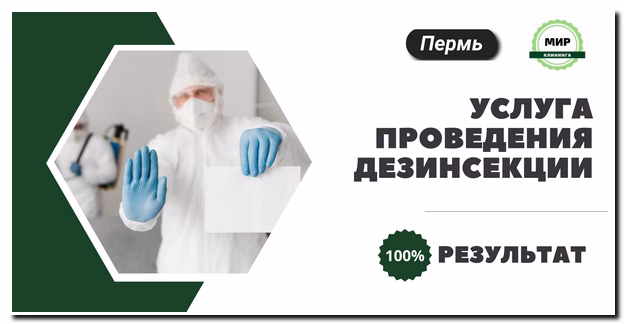дезинсекция помещений в Перми