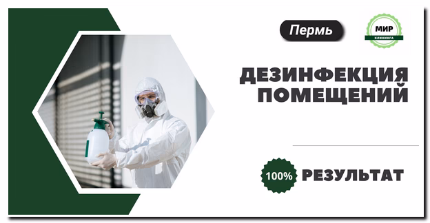 Дезинфекция помещений пермь