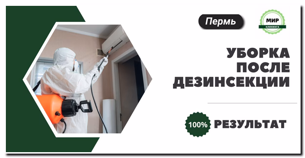 Уборка квартиры после дезинсекции в Перми