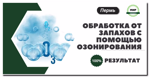 озонирование в перми