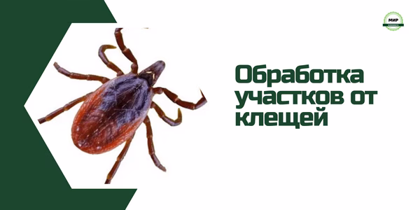 обработка от клещей