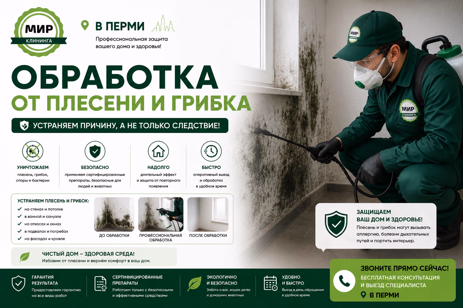 Удаление плесени и грибка в Перми